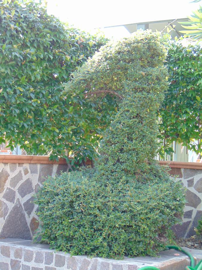 פונטקניאנו Villa Celeste B&B מראה חיצוני תמונה